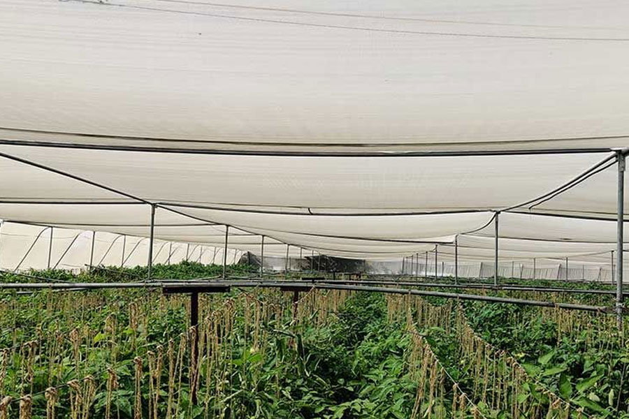 Best Practices for Using HDPE Monofilament Nets in Agriculture
